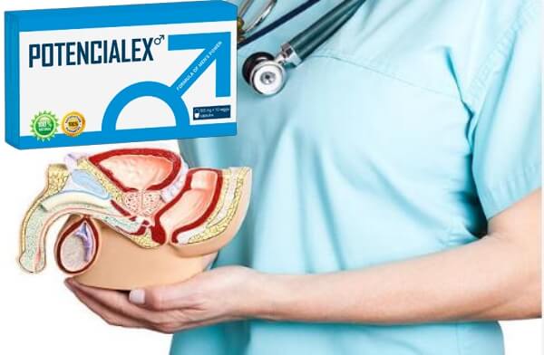 potencialex prostata kaspułki