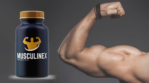 musculinex allegro cena gddzie kupić