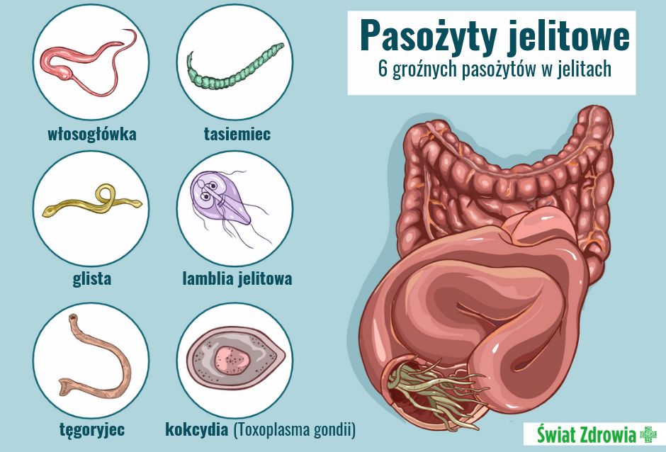 Co powoduje pasożyty jelitowe?