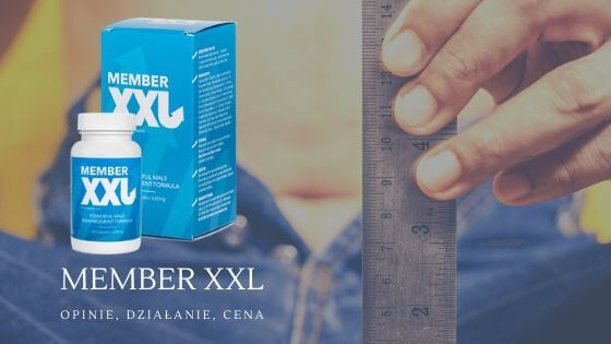 Cena i gdzie kupić Member XXL?