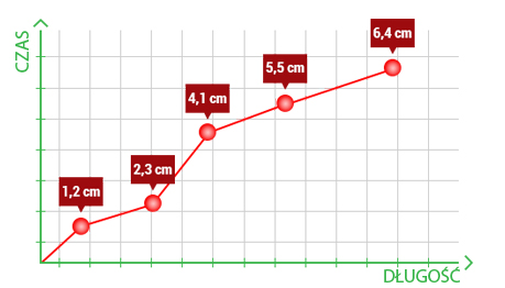 Jak stosować Enlargement? Dawkowanie i instrukcja