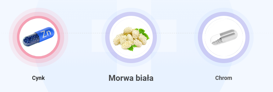 Insulines – składniki i formuła